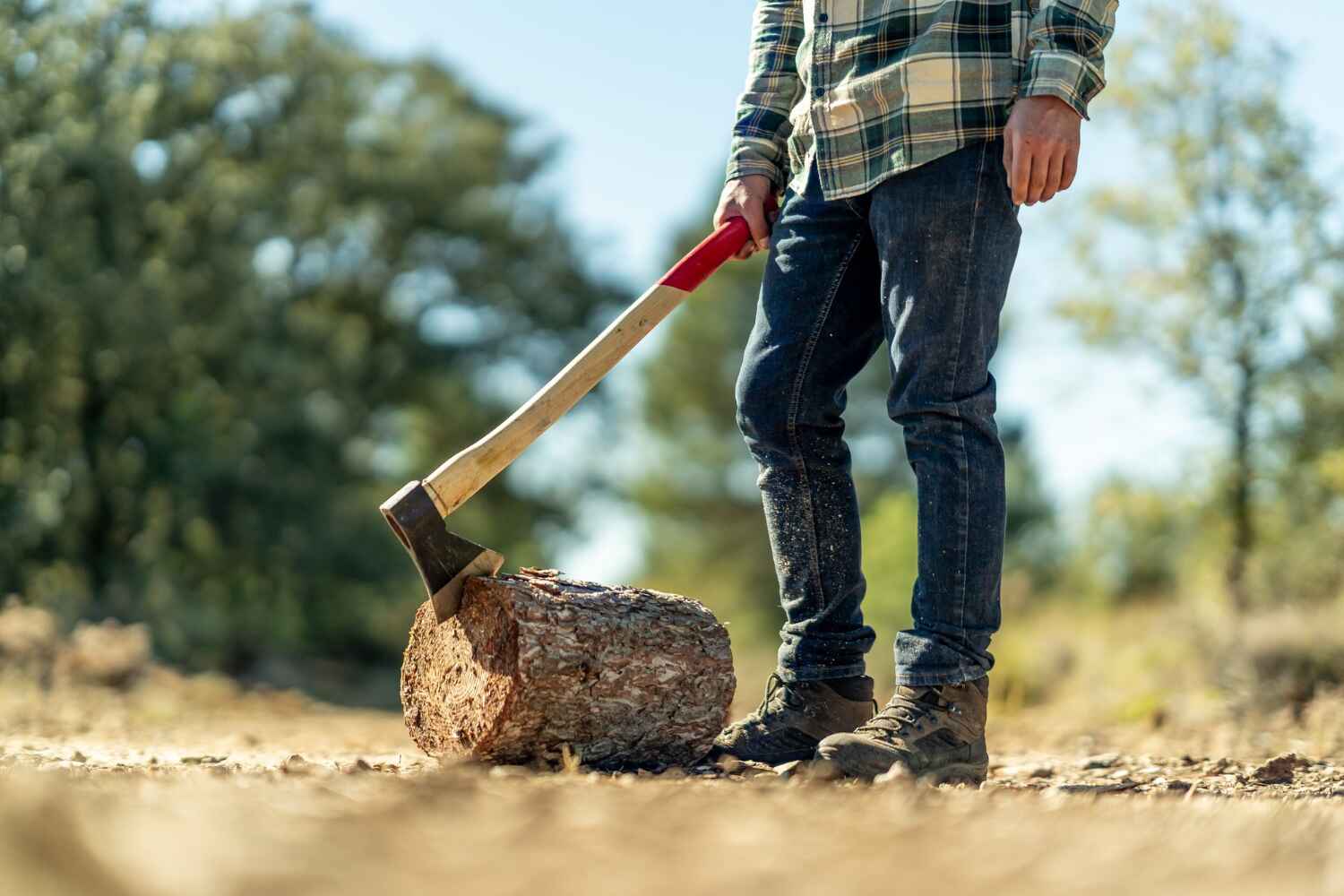 The Steps Involved in Our Tree Care Process in Edna, TX